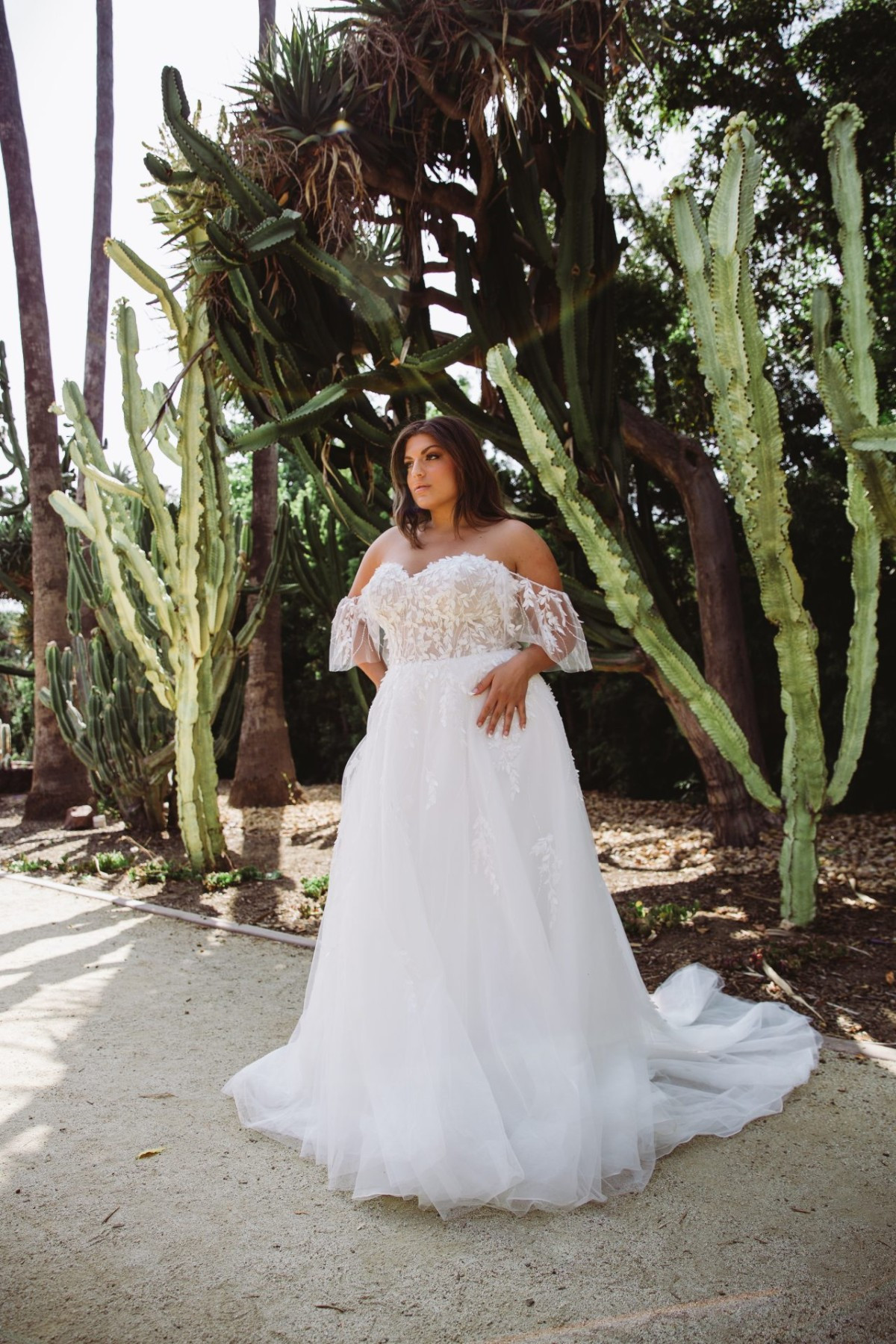 Essense of Australia D3529