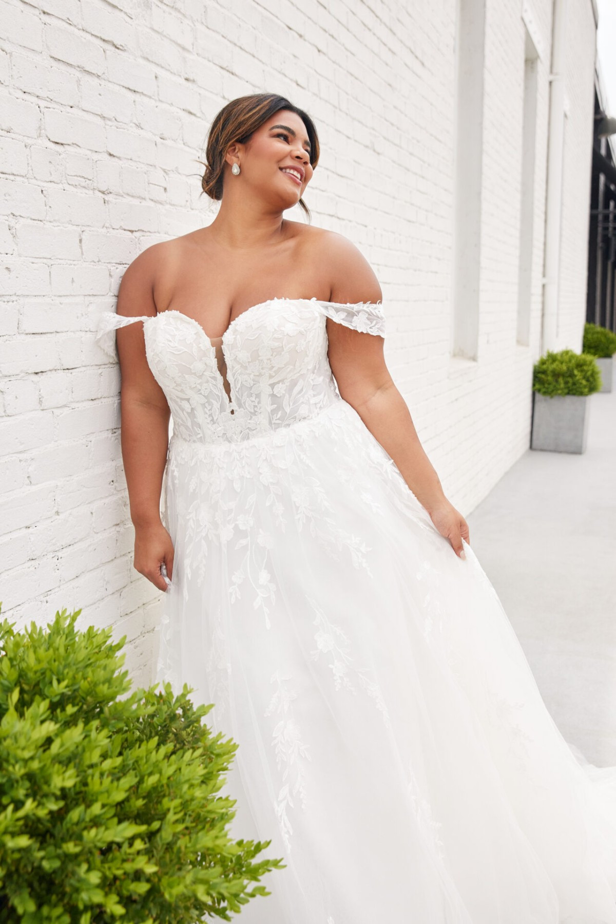 Stella York7849