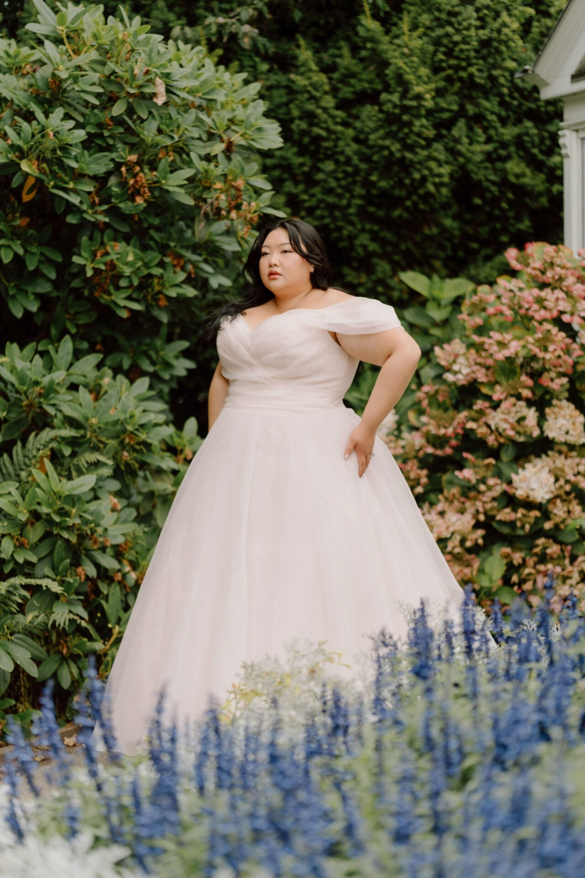Stella York8058