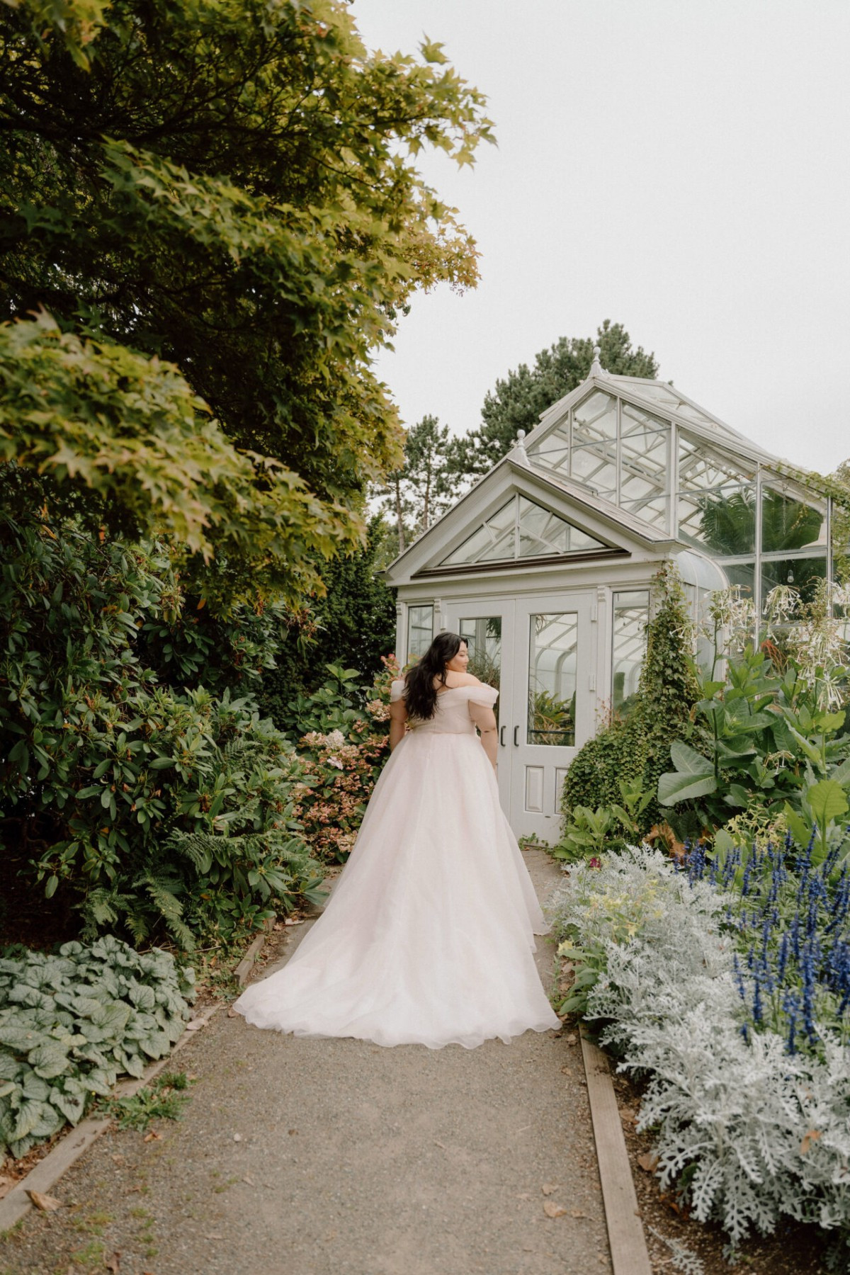 Stella York8058